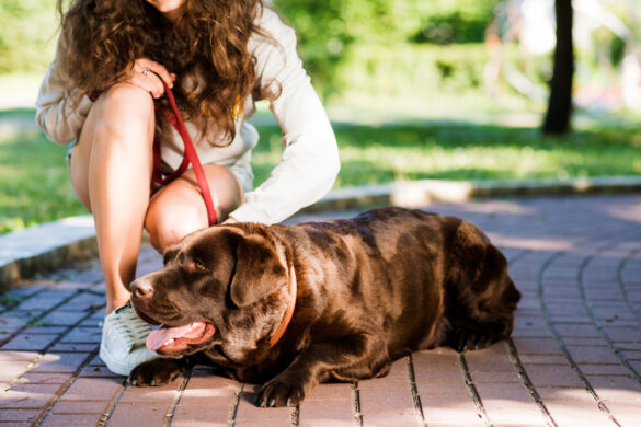 Heatstroke vs. Heat Exhaustion