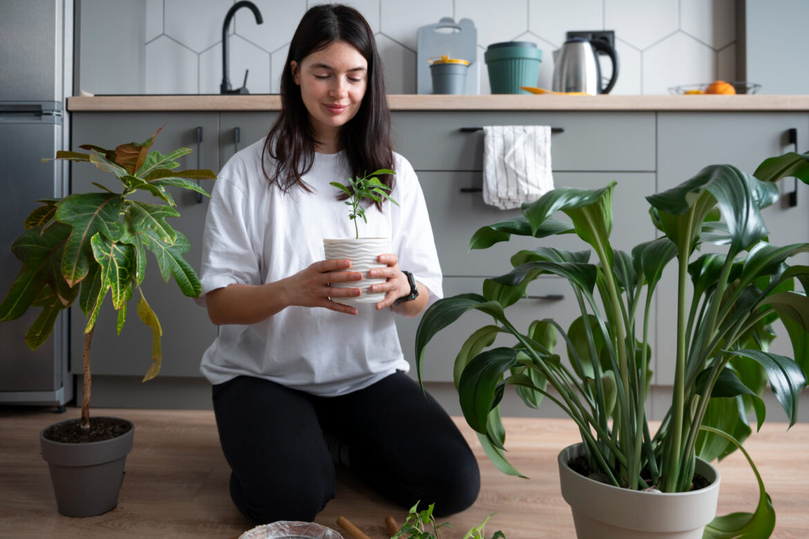 10 Best Air Purifying Plants for a Healthy Home