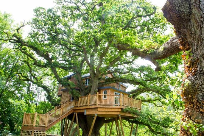 Treetop Hideaways, Devon