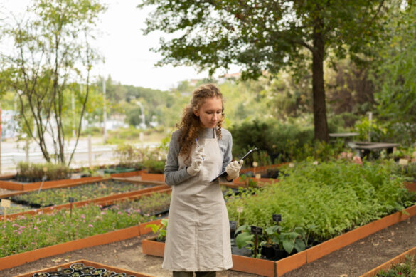Ornamental grasses for every size