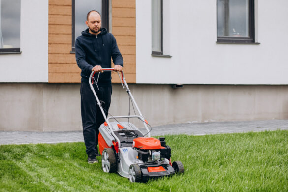 mow wet grass