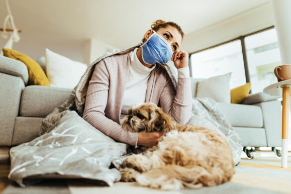 how to get rid of pet odors in your home