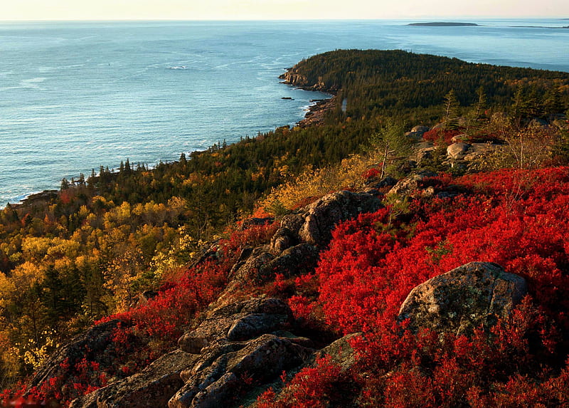 Bar Harbor, Maine, USA