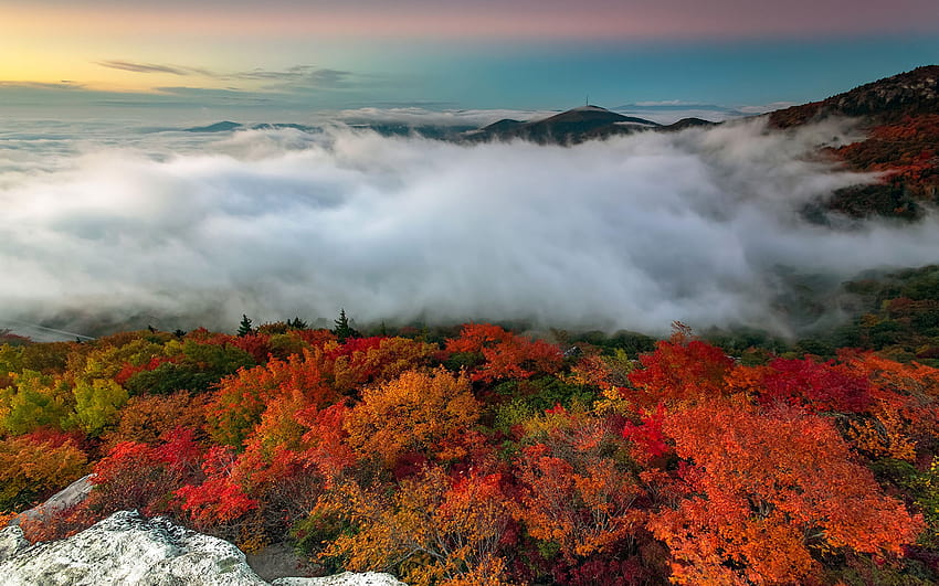 Asheville, North Carolina,