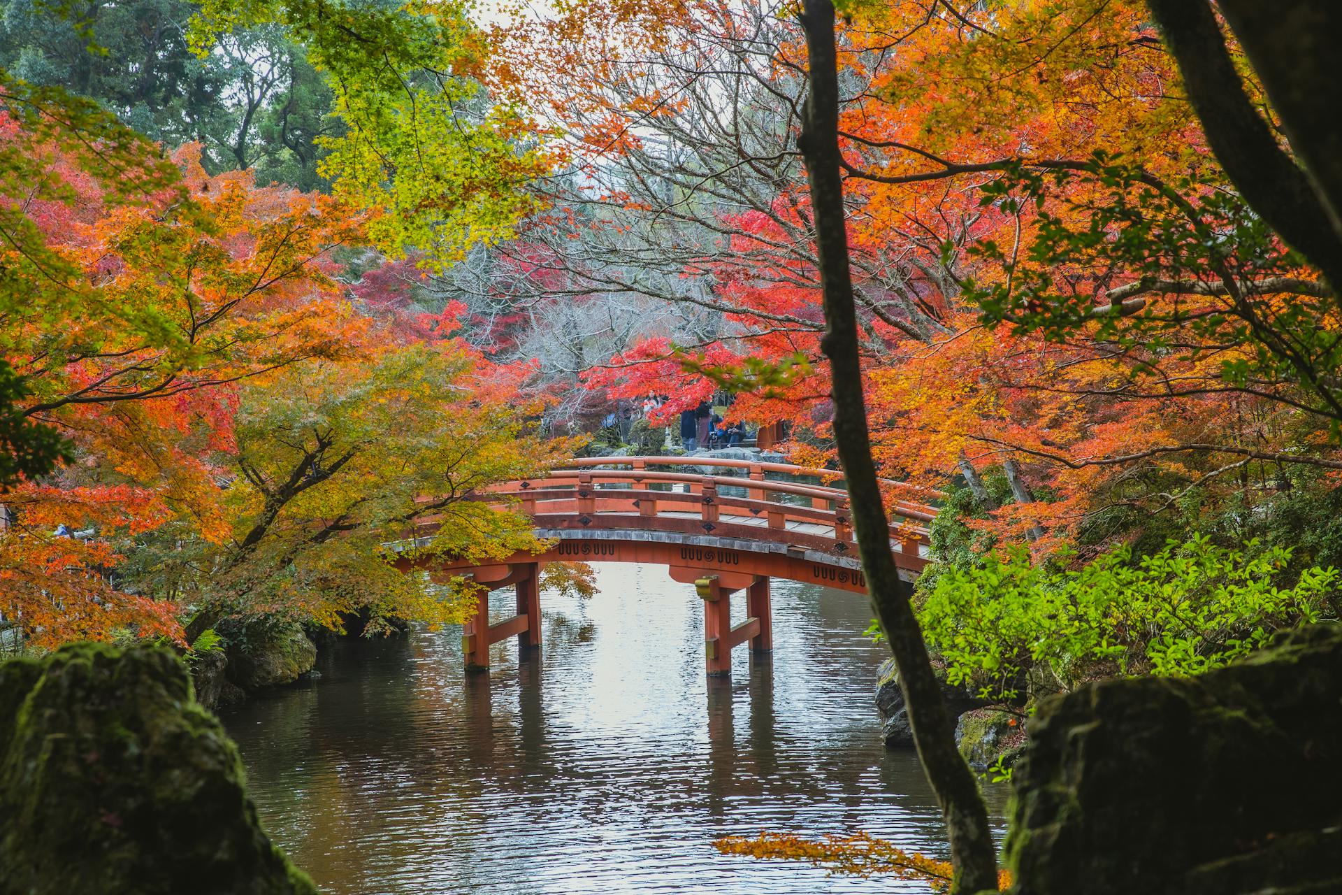 Kyoto, japan