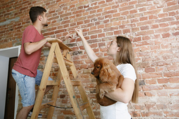 Keep Your Pet Safe During Home Renovations