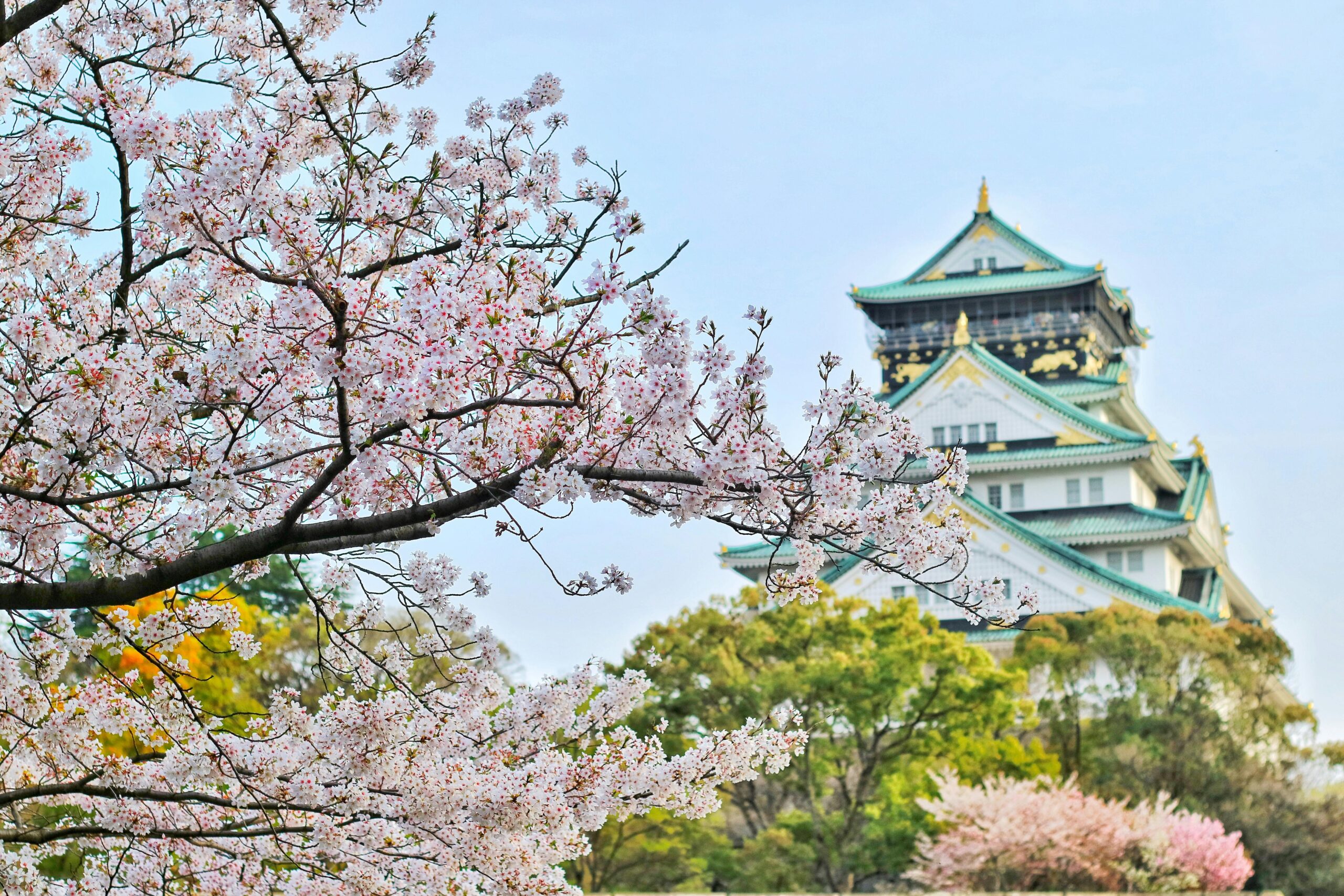 Japan
