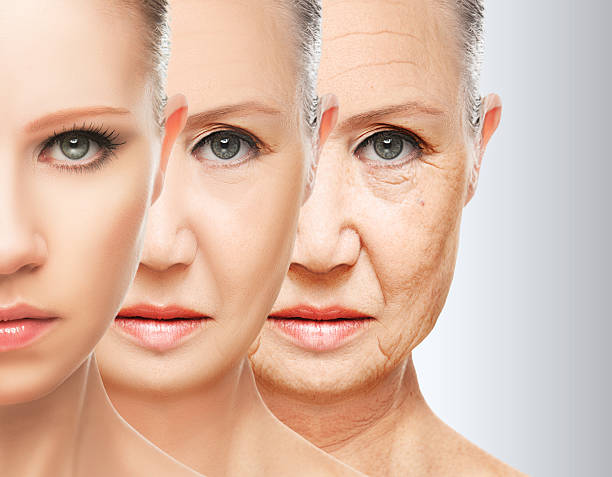 nti-Aging Effects