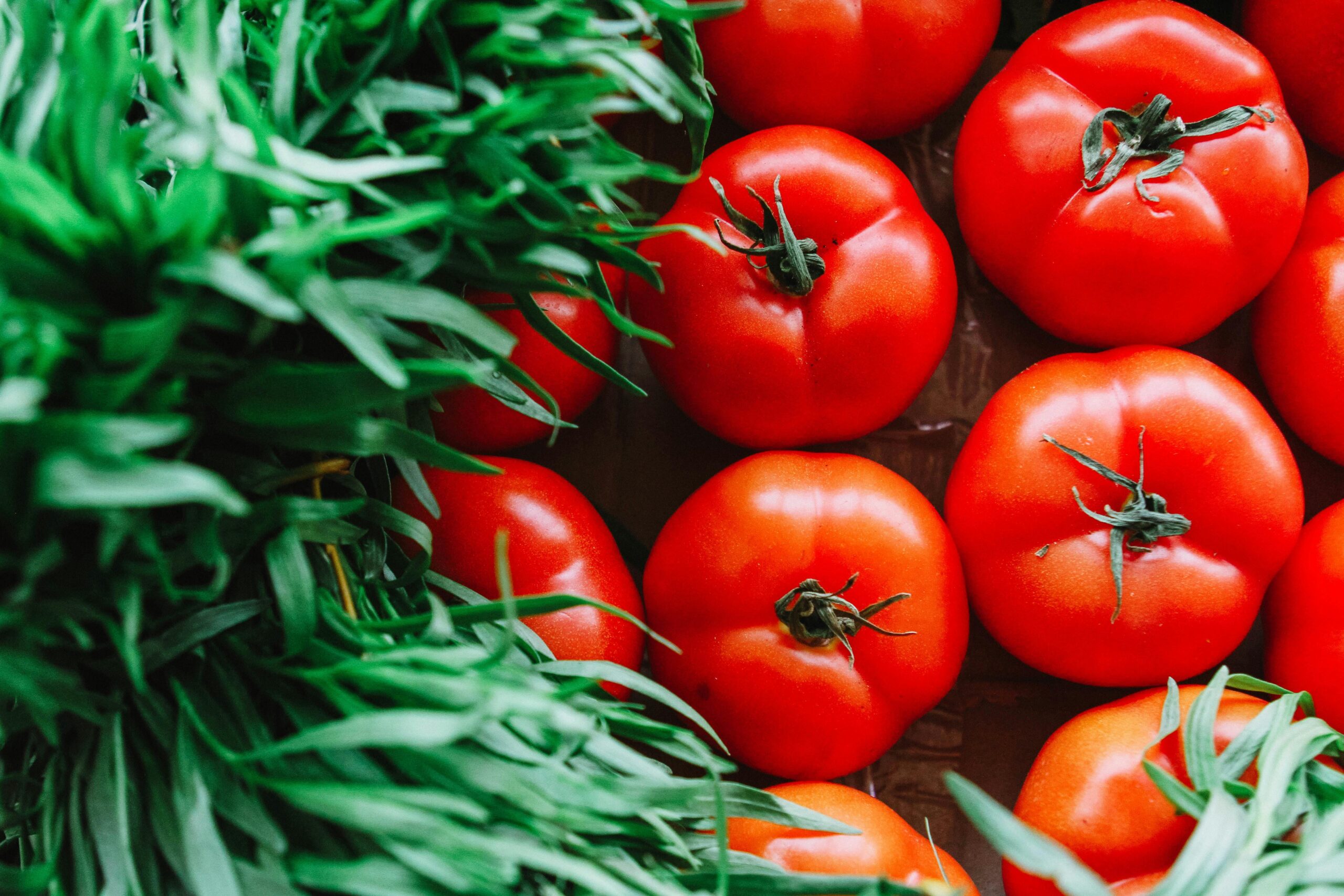 Tomatoes - Nature's Sunscreen