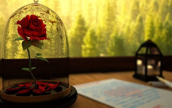 beauty and the beast rose