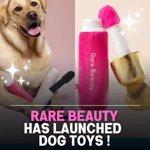 Rare beauty dog toys